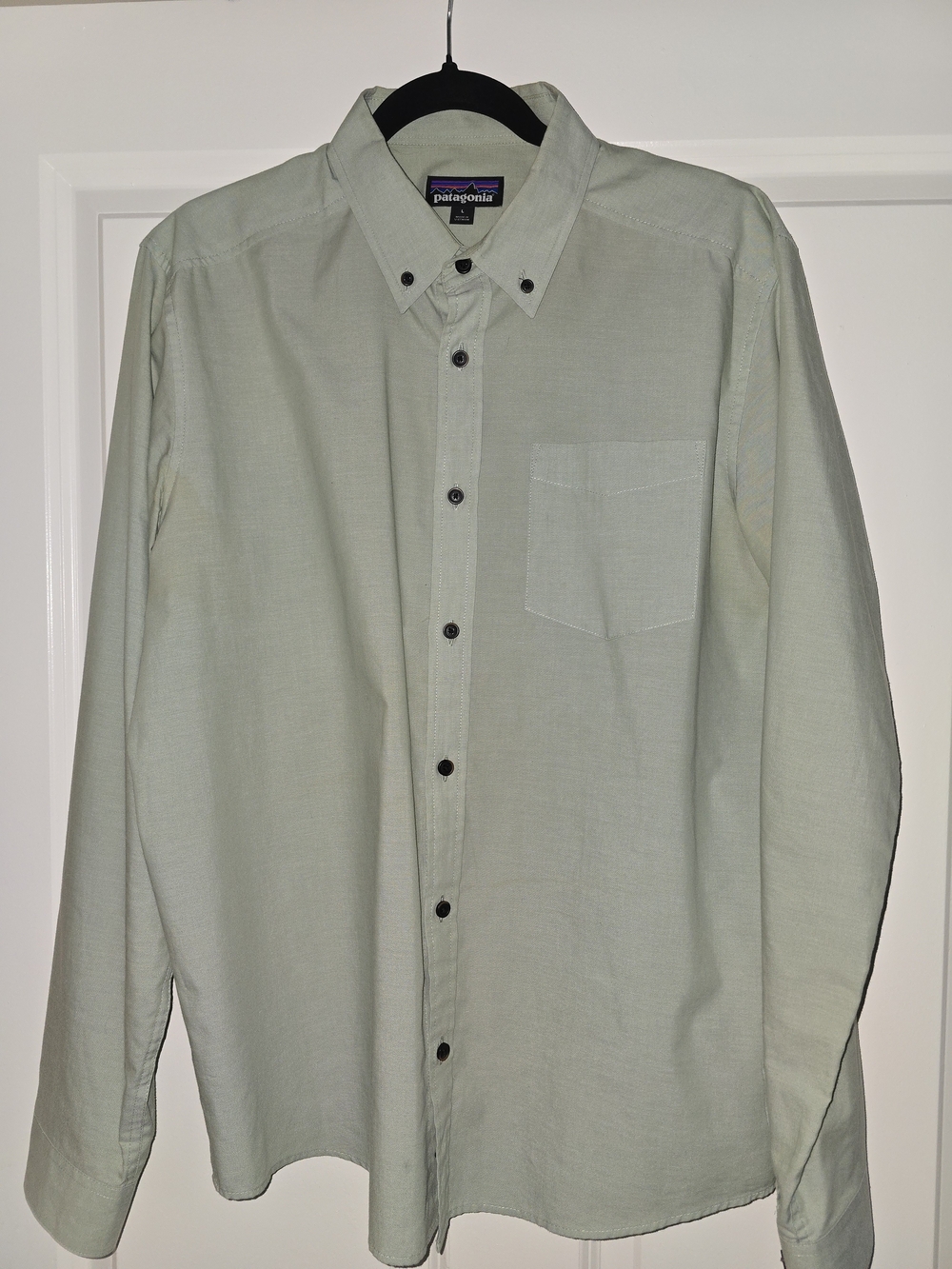 Patagonia Men's Light Sage Button-Down Shirt Organic Cotton